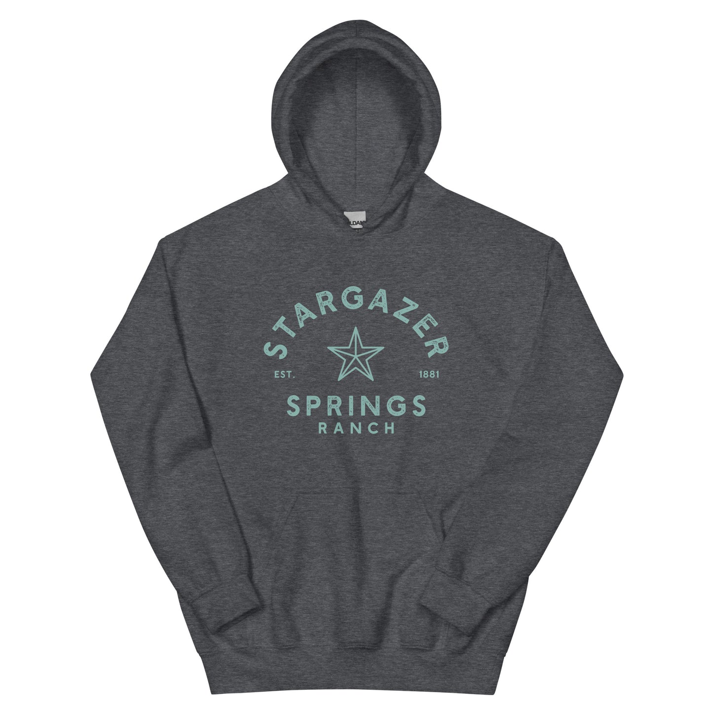 Stargazer Springs Ranch Unisex Hoodie - Aqua Logo