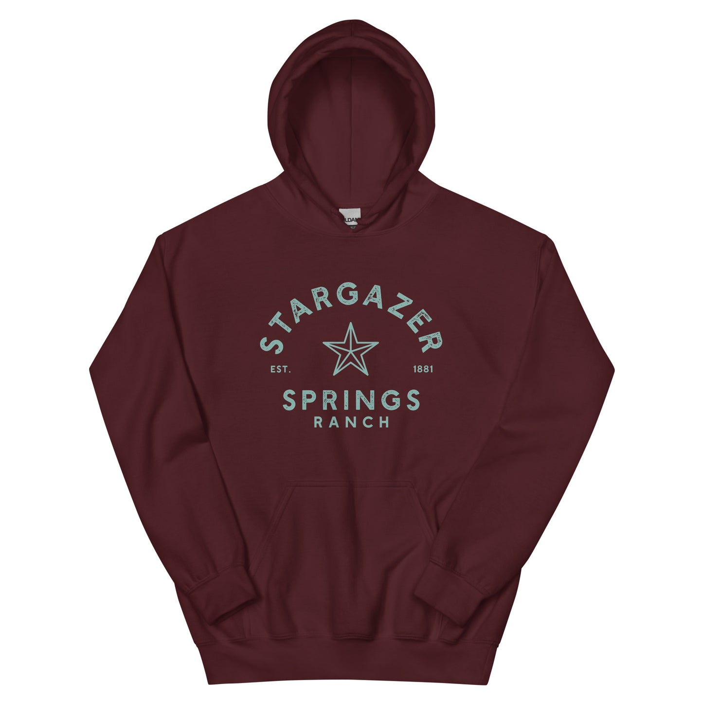 Stargazer Springs Ranch Unisex Hoodie - Aqua Logo