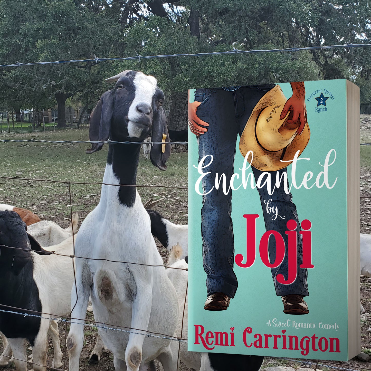 Enchanted by Joji - Signed Paperback