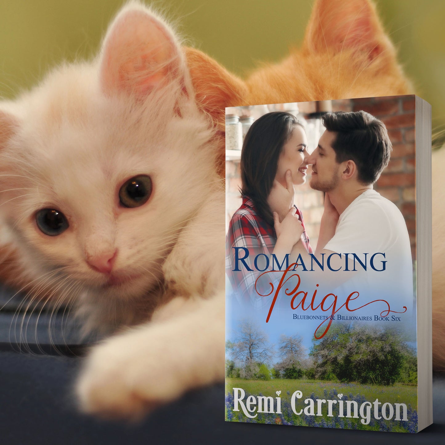 Romancing Paige - Signed Paperback